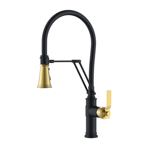 Black And Gold Kitchen Faucet Black Kitchen Faucet