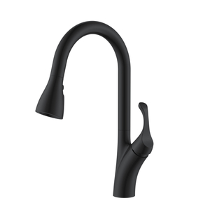 Black Kitchen Faucet Pull Down American Standard Kitchen Faucets