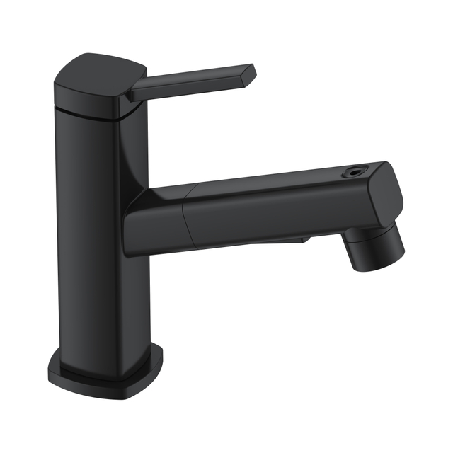 Bathroom Faucet with Pull Out Spray Fountain Water for Teethbrush Black Bathroom Faucets