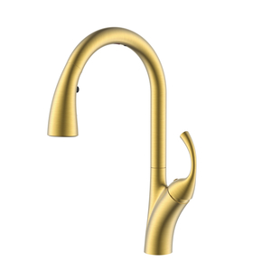 Gold Kitchen Faucet Pull Down American Standard Kitchen Faucets